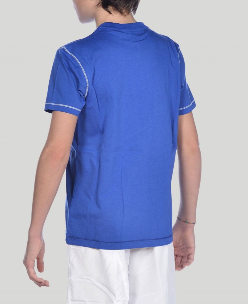 Arena Youth Team Line Korta Sleeve T-Shirt Blå | EDW21A-488