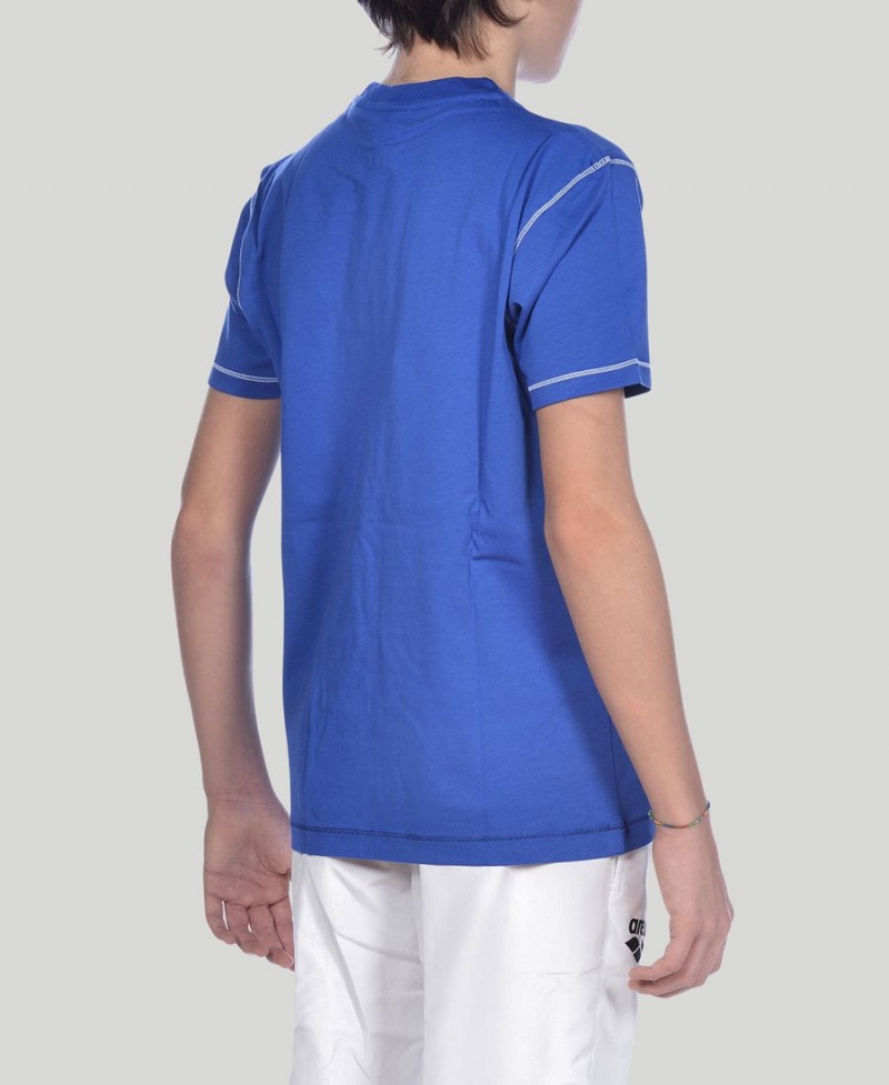 Arena Youth Team Line Korta Sleeve T-Shirt Blå | EDW21A-488