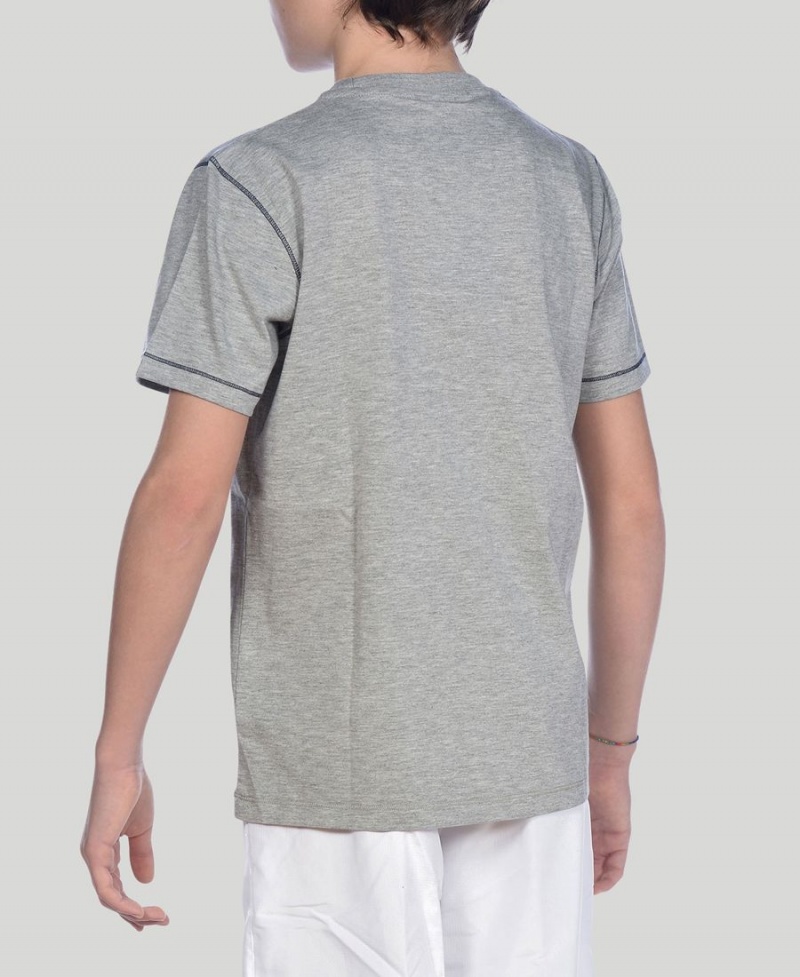 Arena Youth Team Line Korta Sleeve T-Shirt Grå | UEA53N-126