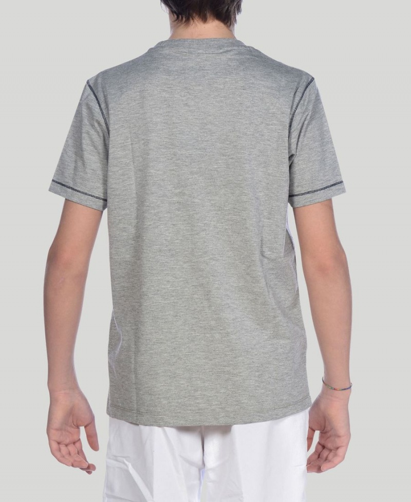 Arena Youth Team Line Korta Sleeve T-Shirt Grå | ZVC23E-214