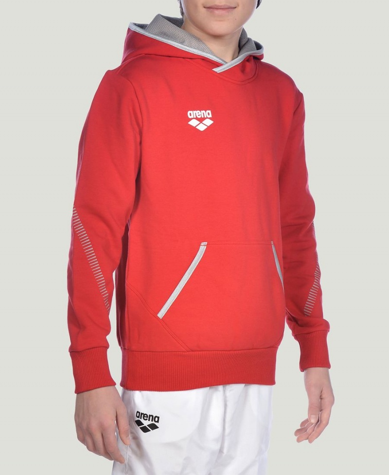 Arena Youth Team Line Long Sleeve Hoodie Röda | CAO18I-699