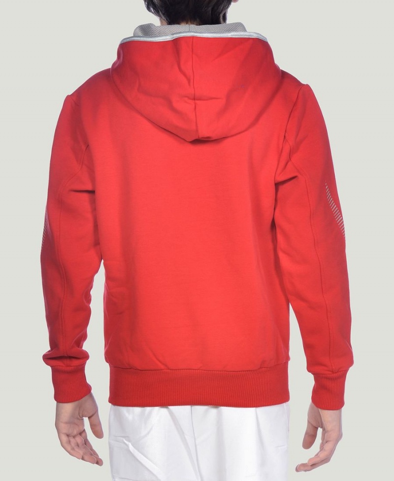 Arena Youth Team Line Long Sleeve Hoodie Röda | CAO18I-699