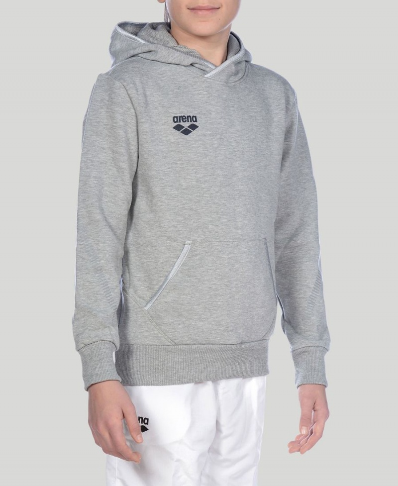 Arena Youth Team Line Long Sleeve Hoodie Grå | OPL97H-276