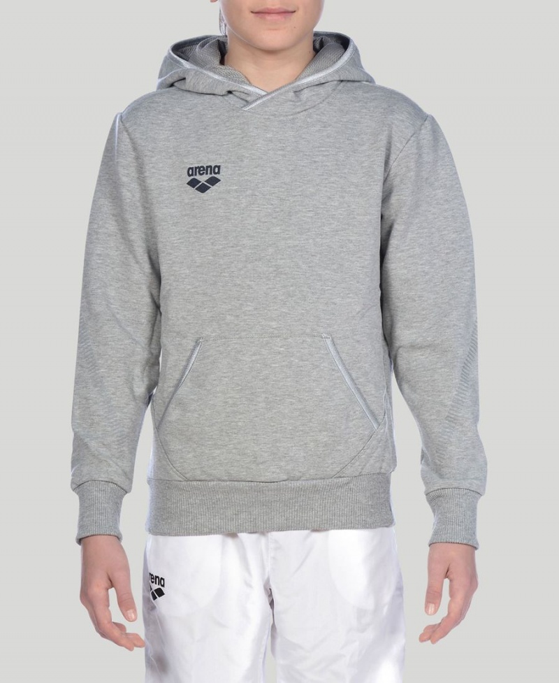 Arena Youth Team Line Long Sleeve Hoodie Grå | OPL97H-276