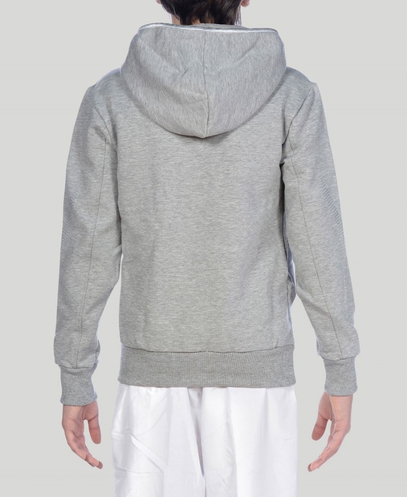 Arena Youth Team Line Long Sleeve Hoodie Grå | OPL97H-276