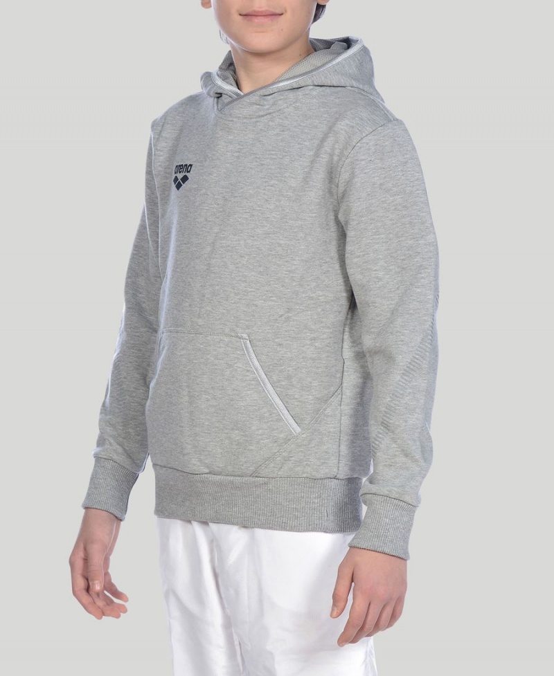 Arena Youth Team Line Long Sleeve Hoodie Grå | OPL97H-276