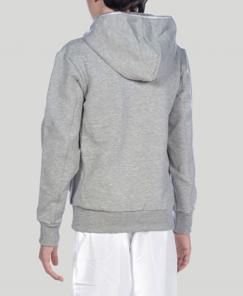 Arena Youth Team Line Long Sleeve Hoodie Grå | AIN50G-107