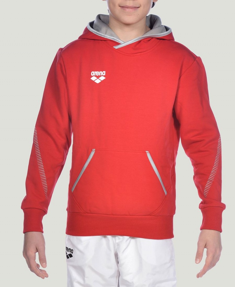 Arena Youth Team Line Long Sleeve Hoodie Röda | KAF15G-506