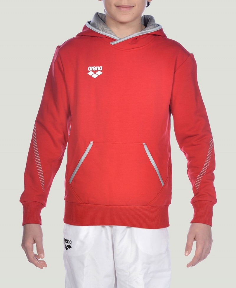 Arena Youth Team Line Long Sleeve Hoodie Röda | KAF15G-506